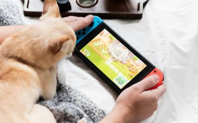 Jak pobrać darmowe gry na Nintendo Switch: najlepszy poradnik dla gracza
