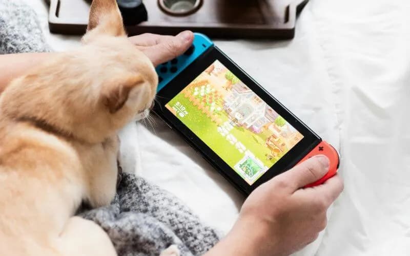 Jak pobrać darmowe gry na Nintendo Switch: najlepszy poradnik dla gracza