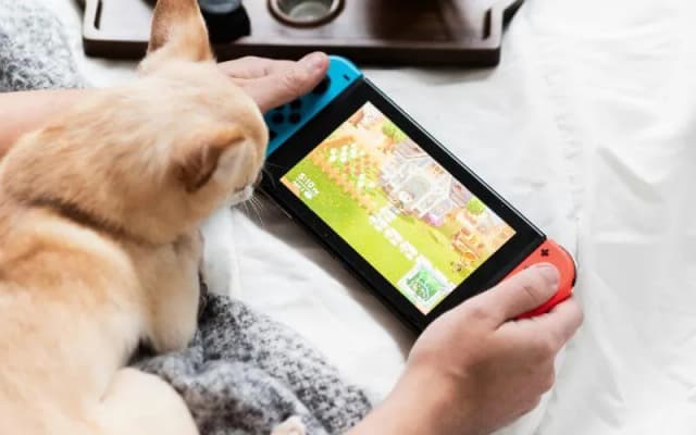 Jak pobrać darmowe gry na Nintendo Switch: najlepszy poradnik dla gracza